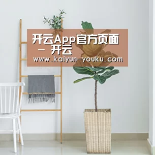 产品名称六(图1)